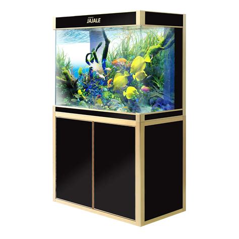 100 Gallon Fish Tanks - Options and Reviews 2023 | A Little Bit Fishy