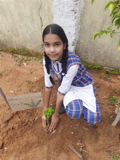 DVM | INTERNATIONAL SCHOOL | JARHI | SARGUJA | SURAJPUR