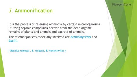 Nitrogen cycle(presentation) by Rysul | PPTX