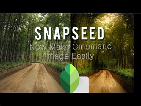 Image result for Snapseed Editing Tricks