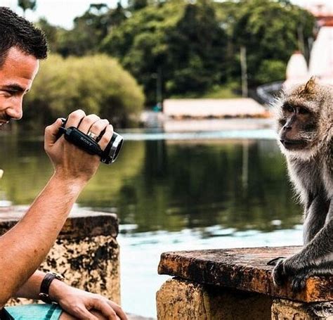 10 BEST Places to Visit in Curepipe - UPDATED 2022 (with Photos ...