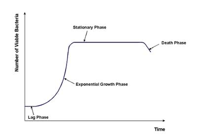 Image result for How to Do Microbial Growth Curves Using Spectrophotometer