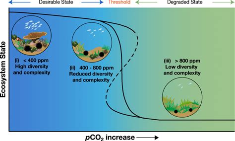 Image result for PCO2 Ocean