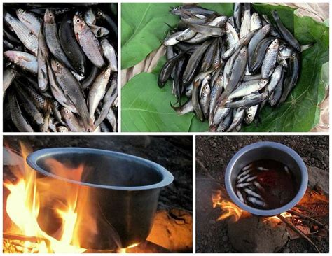 O'NEST HOME STAY (Devrukh) - Hotel Reviews, Photos, Rate Comparison ...