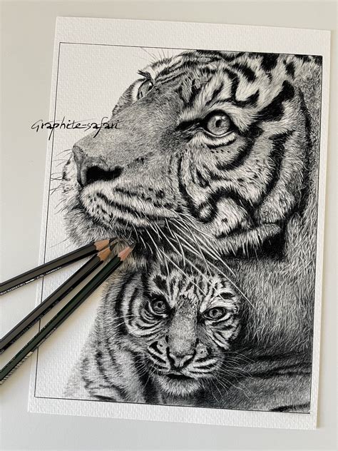 Image result for Tiger Drawing Tutorial