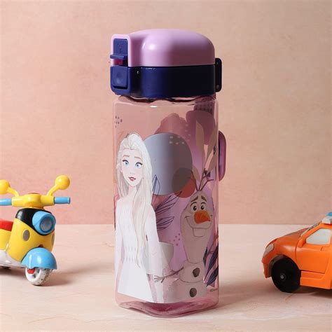 Buy Rosa Frozen Water Bottle - 550 ML Online in India | Vaaree