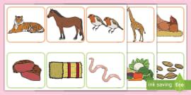 Animals and What They Eat Matching Cards
