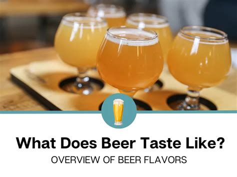 Image result for Taste Test Beer
