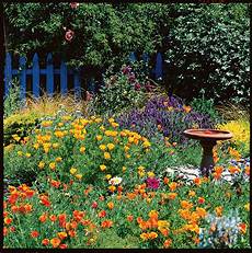 Our Cottage Garden by Use Our Planting And Design Tips To Create Your Own Our Cottage Garden