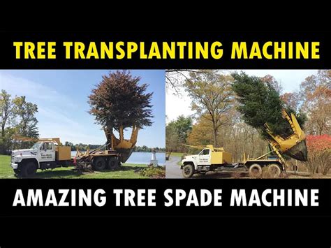 Tree Transplanting Machine | Tree Relocation Machine | Tree Spade