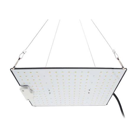 Image result for Quantum LED