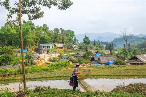 Singimale Sumaithangi Stone: The Hidden Gem of Sri Lanka