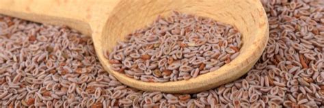 par quoi remplacer le psyllium dans une recette de pain