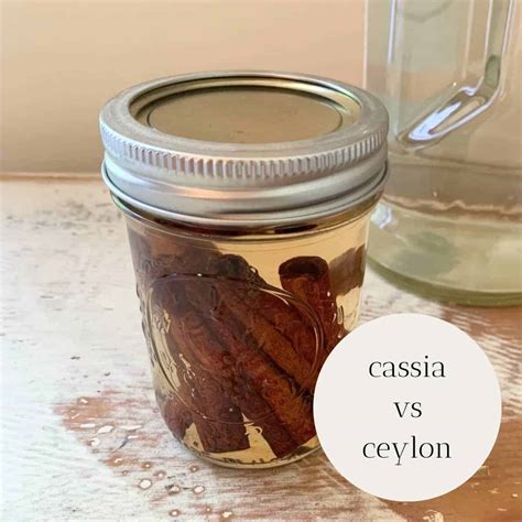 Cassia vs Ceylon Cinnamon: What is the Difference? - Rivers Family Farm