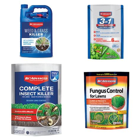 Shop BioAdvanced Southern Spring Lawns at Lowes.com