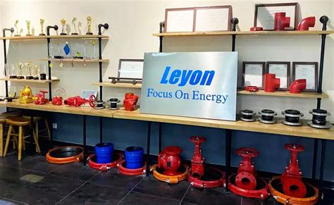 Company Overview - Leyon Piping System Co., Ltd.
