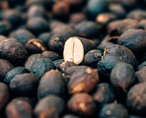 Natural Dry Coffee Processing Method PDF 的图像结果