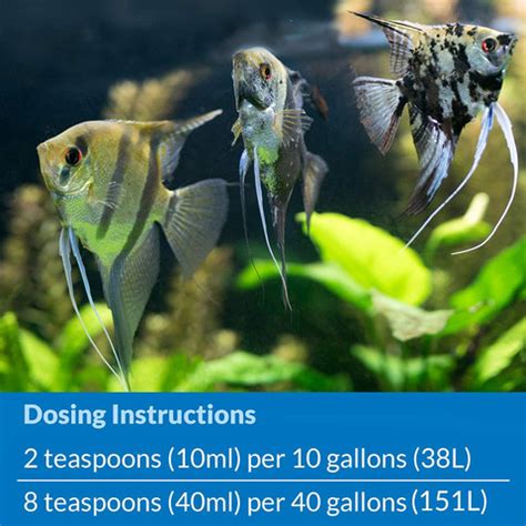 API Quick Start Aquarium Nitrifying Bacteria 118ml Pet Conditioner ...