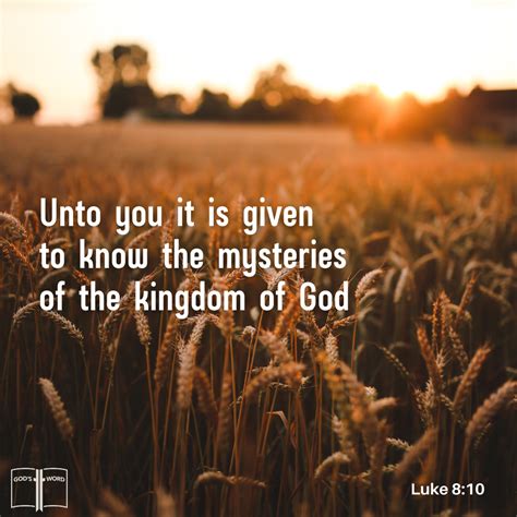 Parable of the sower and the seed its meaning for today – Artofit