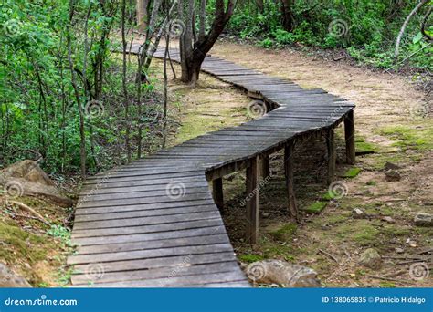 Image result for Rustic Path Walk