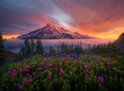 Mount Rainier: Sunrise Glow in the Cascade Range - HD Wallpaper by Marc ...