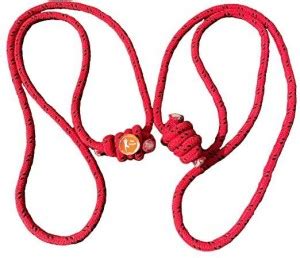 The Yogis Yogis Iyengar Yoga Ropes (Two Ropes) [Free-2 Round Fasteners ...