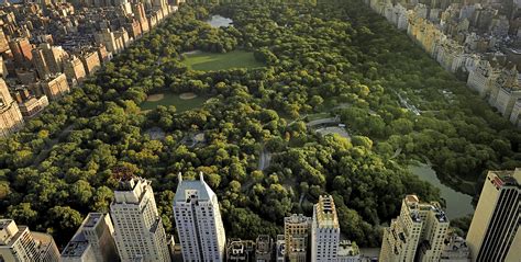 New Condminiums Central Park | One11 Residences