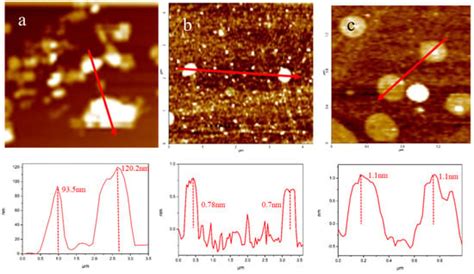 Butyl Rubber Nanocomposites with Monolayer MoS2 Additives: Structural ...