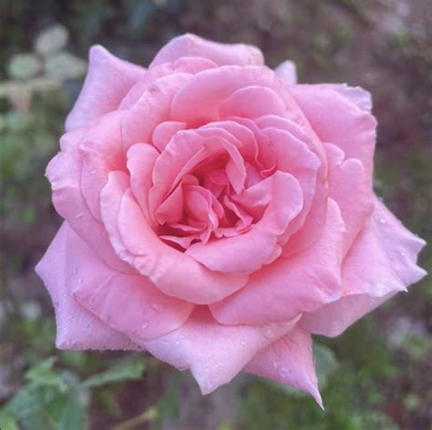 Bria Miller – Evolving | FishJacksonStudio