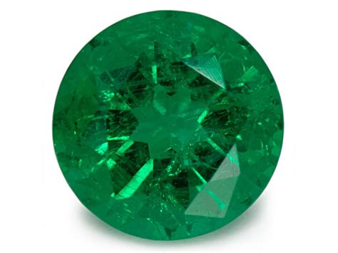 Image result for Emerald Back Python