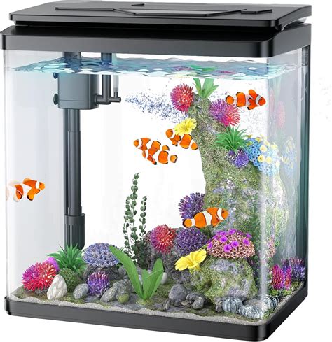 Fish Tank Training Equipment at Rory Barbour blog