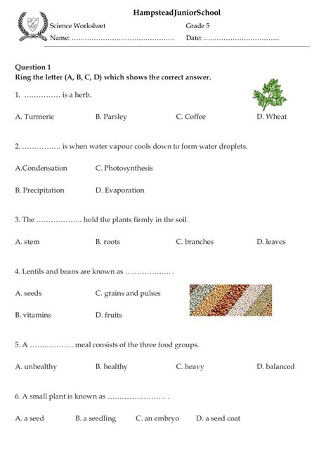 5Th Grade Science Worksheets