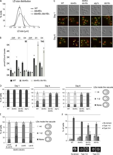 Regulation of lipid droplets by metabolically controlled Ldo isoforms ...