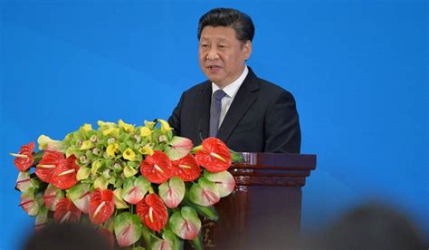 China's Xi says BRICS must promote open world economy