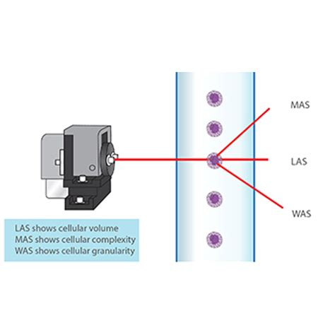 Hematology Analyzers | 5 Part Differential | Automatic BC-5000 ...