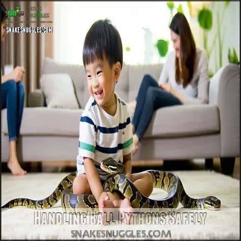 Image result for Handling a Ball Python