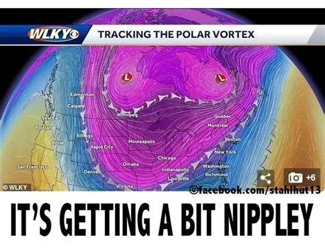 Animation Memes Polar Summit 的图像结果