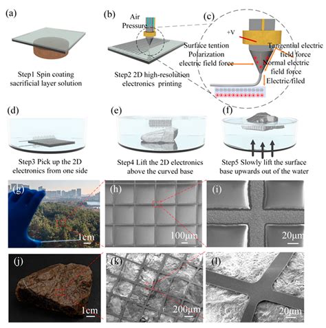Electric Field-Driven Jetting and Water-Assisted Transfer Printing for ...