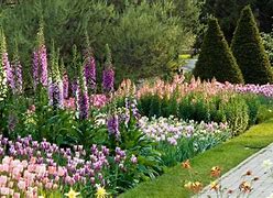 Image result for Good Morning Spring Flowers Gardens