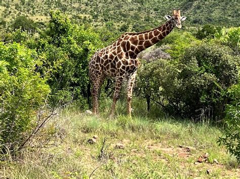 MOAFRIKA TOURS (2026) All You Need to Know BEFORE You Go (with Photos ...