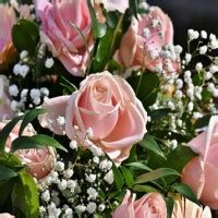 Matheney Funeral Home Obituaries
