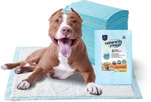 Goofy Tails High Absorption Pee Pads for Dogs |Quick Drying Pet Pad ...