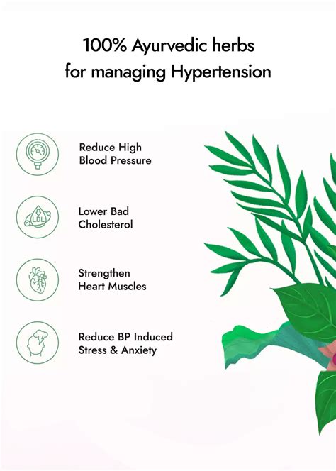 BP CARE JUICE - 10 Ayurvedic Herbs