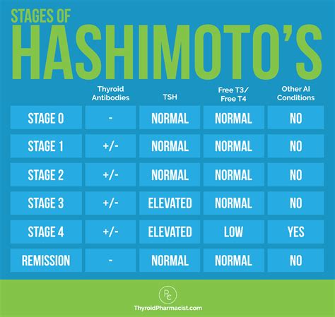 The 5 Stages of Hashimoto’s Thyroiditis – New Dental Residency - new treatments for hashimoto's thyroiditis