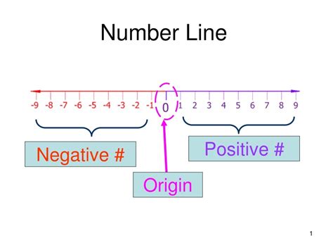 Negative Number Line 的图像结果