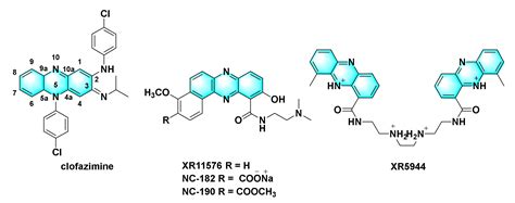 Advances in Phenazines over the Past Decade: Review of Their ...