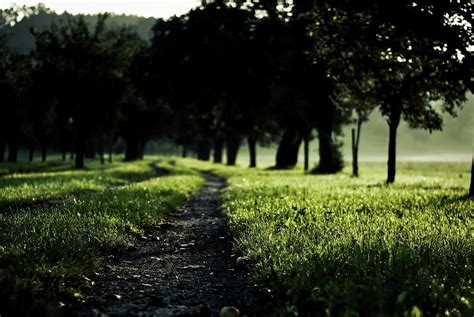 Image result for Background Images for JavaScript