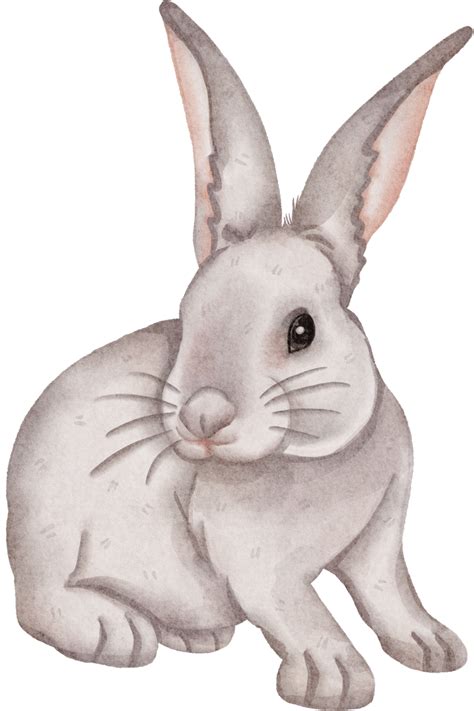 Bunnies Clip Art