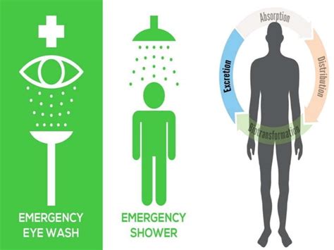 Image result for Example of Systemic Effects