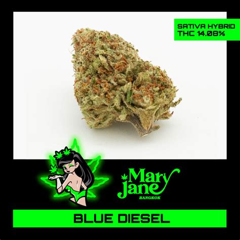 Blue Diesel Strain unique characteristics, Feel, Effect